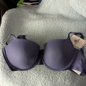 B.tempted 34D Bra NWT